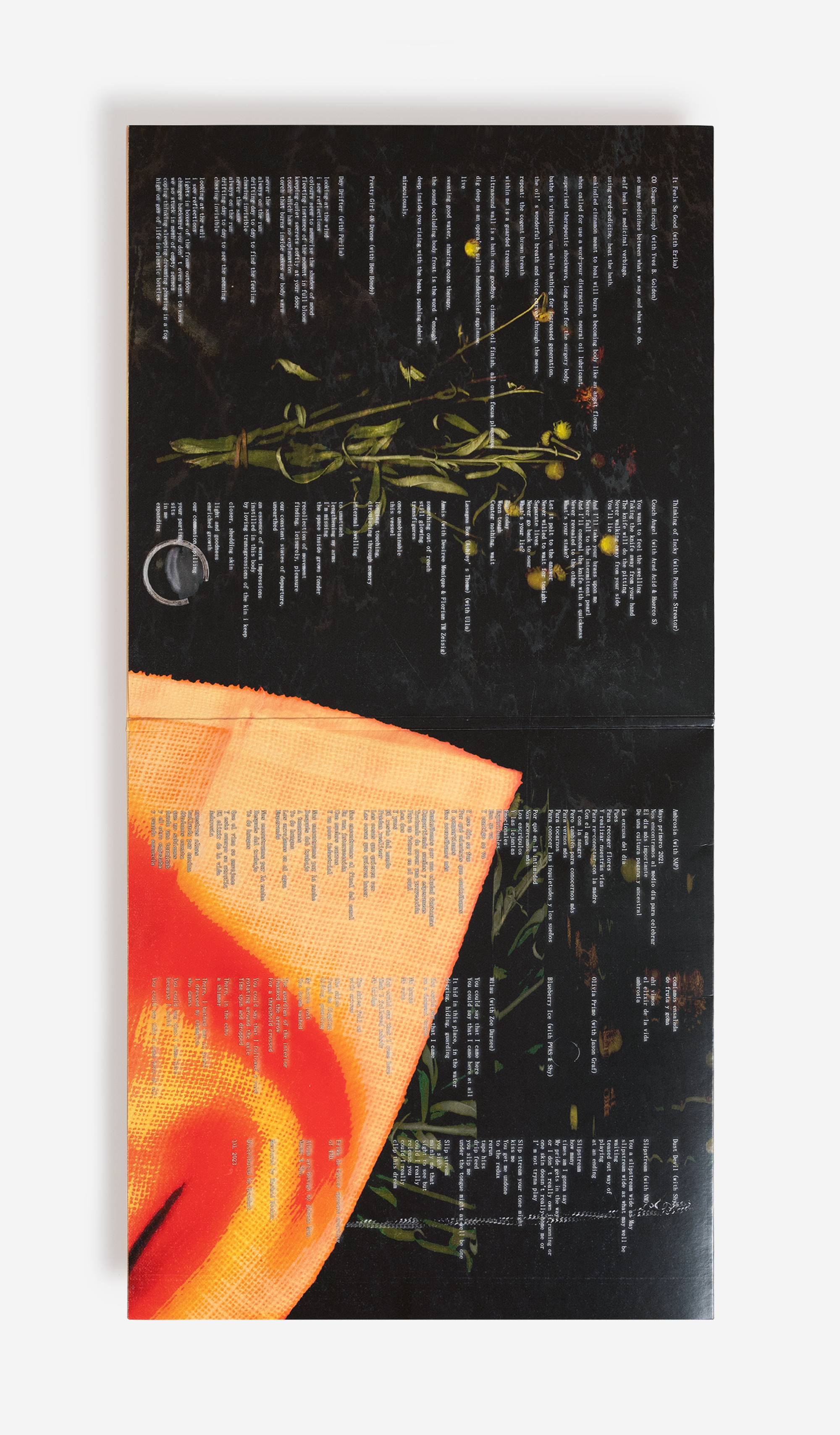 Dust Devil Vinyl 3